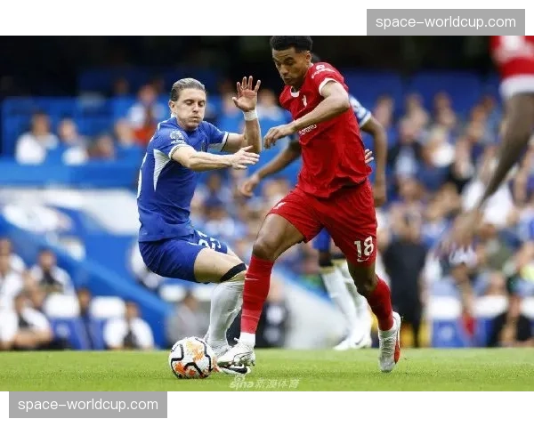 欧联资格卡位战：纽卡斯尔与布莱顿的直接对决